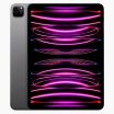 iPad Pro 12,9 pouces (2022) 128 Go Gris sidéral  Wi-Fi + 5G