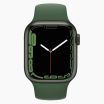 Refurbished Apple Watch Series 7 45mm aluminium groen 4G met zwart sportbandje                            