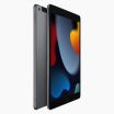 iPad 2021 256Go Gris Sidéral 4G reconditionné                            