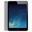 iPad Air 64Go Gris Sidéral Wifi reconditionné