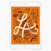Refurbished iPad Mini 5 256GB Gold 4G