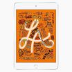iPad Mini 5 256Go Argent 4G reconditionné