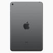 iPad Mini 5 256Go Gris Sidéral reconditionné