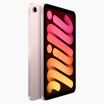 Refurbished iPad Mini 6 256GB Roze Wifi + 5G                            