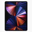 iPad Pro 12.9 inch (2021) 256GB Zwart Wifi + 5G