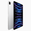 iPad Pro 12,9'' (2022) 256GB Argent Wifi Seulement