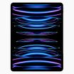 iPad Pro 12,9'' (2022) 256GB Argent Wifi Seulement