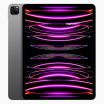 iPad Pro 11 inch (2022) 256GB Zwart Wifi + 5G
