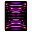 iPad Pro 12,9 pouces (2022) 128 Go Gris sidéral  Wi-Fi uniquement