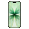 iPhone 17 256GB Groen (eSIM)                            