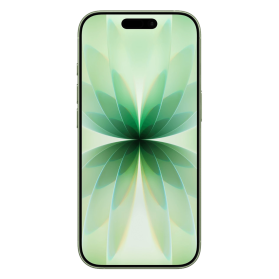 iPhone 17 256 Go Vert (eSIM)                            