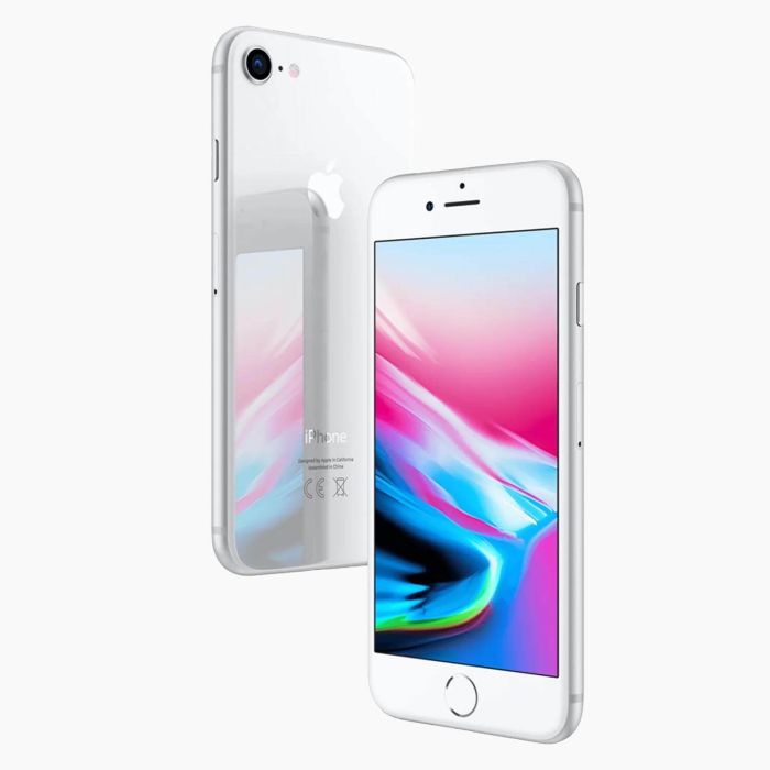 iPhone 8 Argent 256Go reconditionné