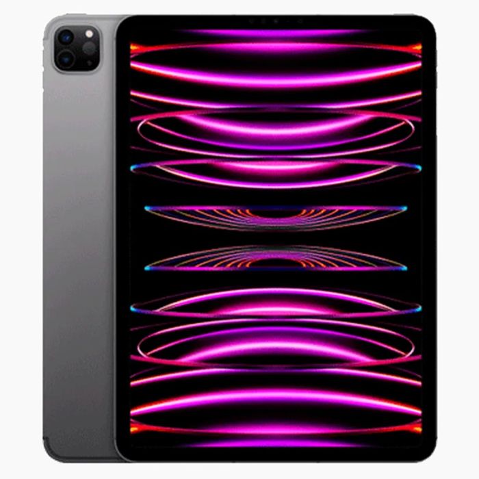 iPad Pro 11 pouces (2022) 256 Go Noir Wi‑Fi