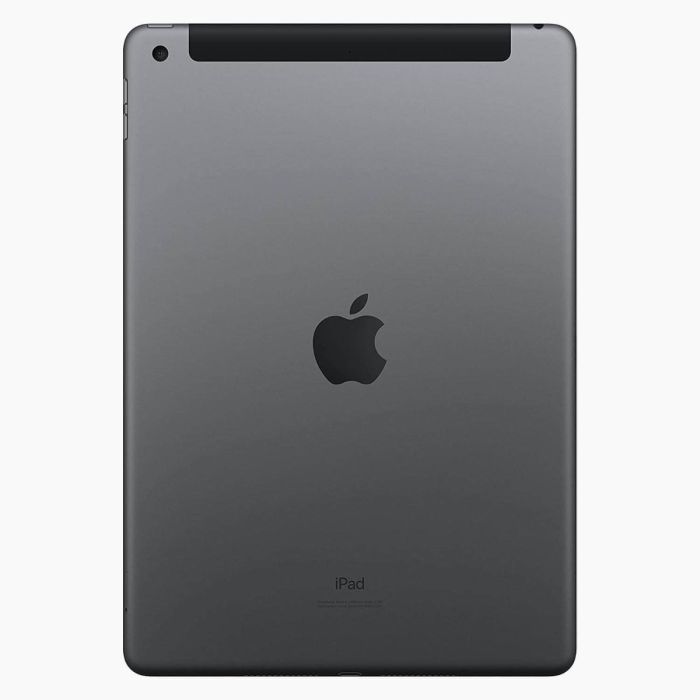 iPad 2021 256Go Gris Sidéral 4G reconditionné                            