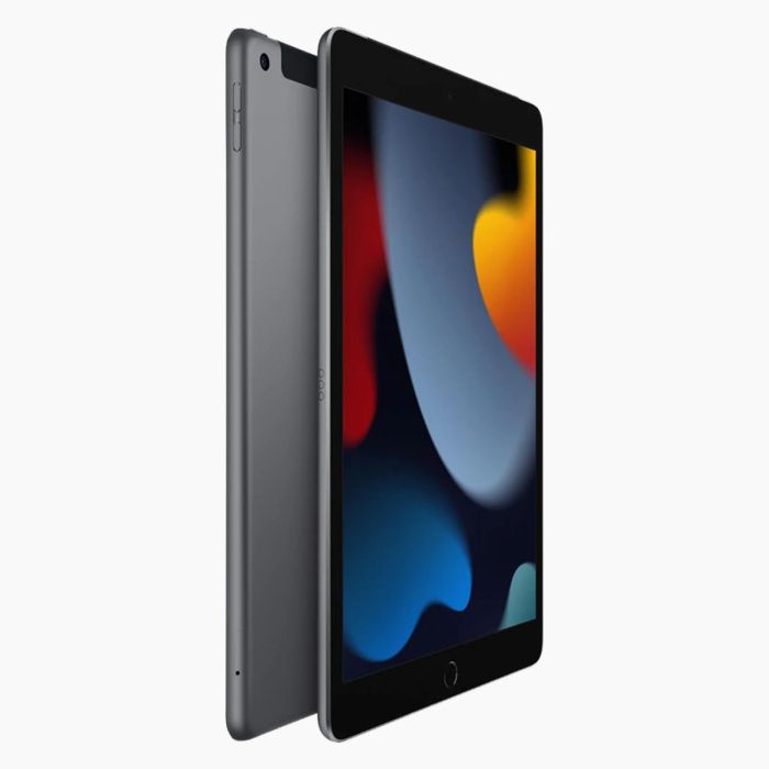 iPad 2021 256Go Gris Sidéral 4G reconditionné                            