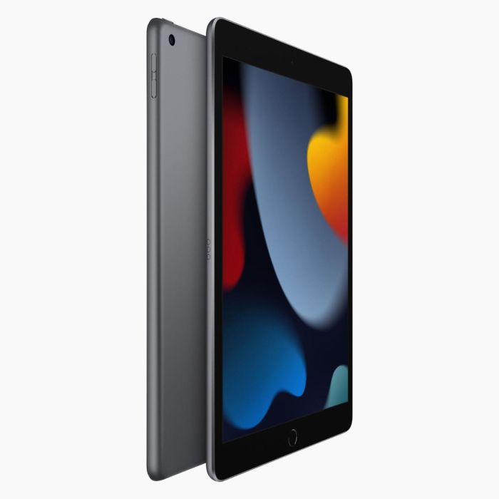iPad 2021 256Go Gris Sidéral Wifi reconditionné
                            