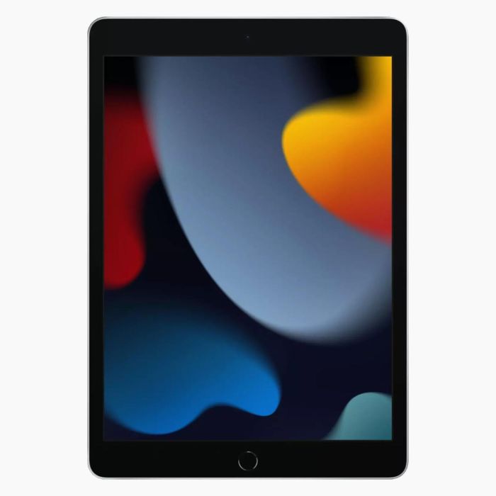 iPad 2021 256Go Argent 4G reconditionné