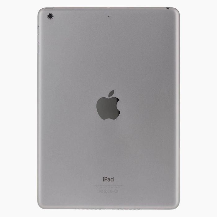 iPad Air 64Go Gris Sidéral Wifi reconditionné