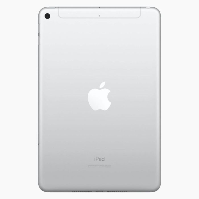 iPad Mini 5 256Go Argent 4G reconditionné