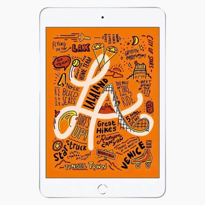 iPad Mini 5 256Go Argent 4G reconditionné