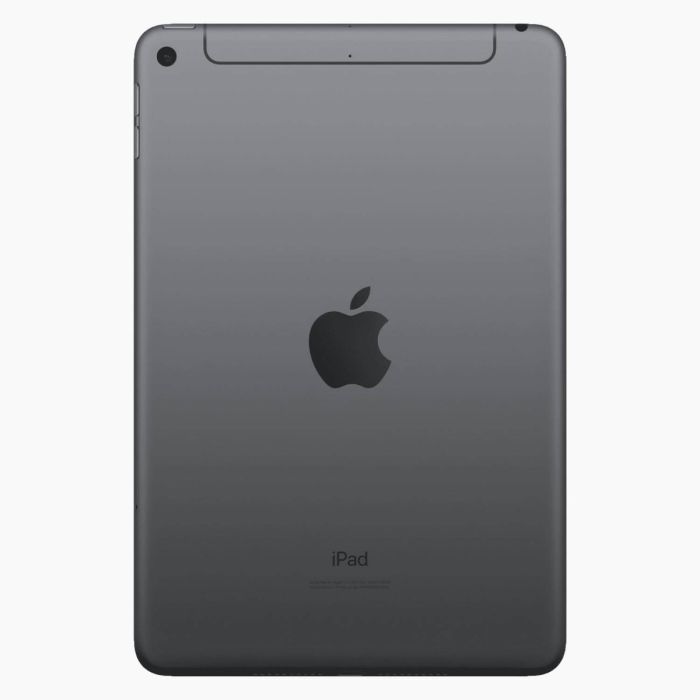 iPad Mini 5 256Go Gris Sidéral 4G reconditionné