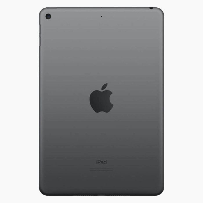 iPad Mini 5 256Go Gris Sidéral reconditionné