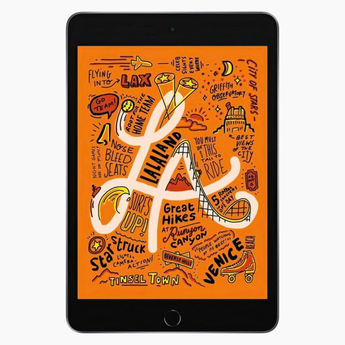 iPad Mini 5 256Go Gris Sidéral reconditionné