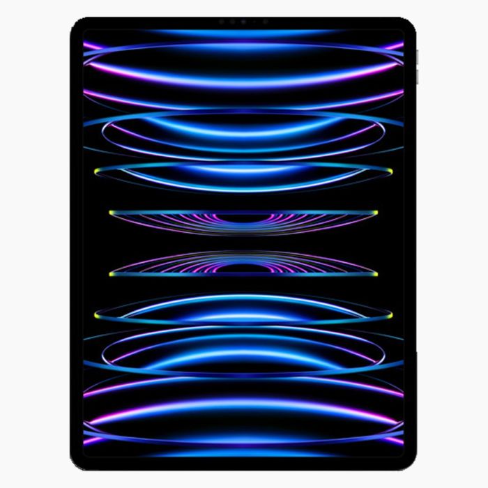 iPad Pro 12,9'' (2022) 256GB Argent Wifi Seulement