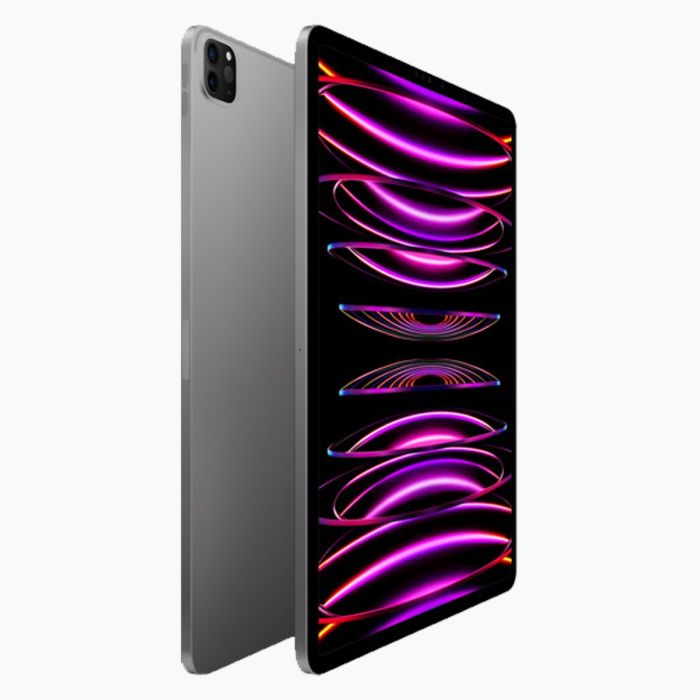 iPad Pro 11 pouces (2022) 256 Go Noir Wi‑Fi uniquement