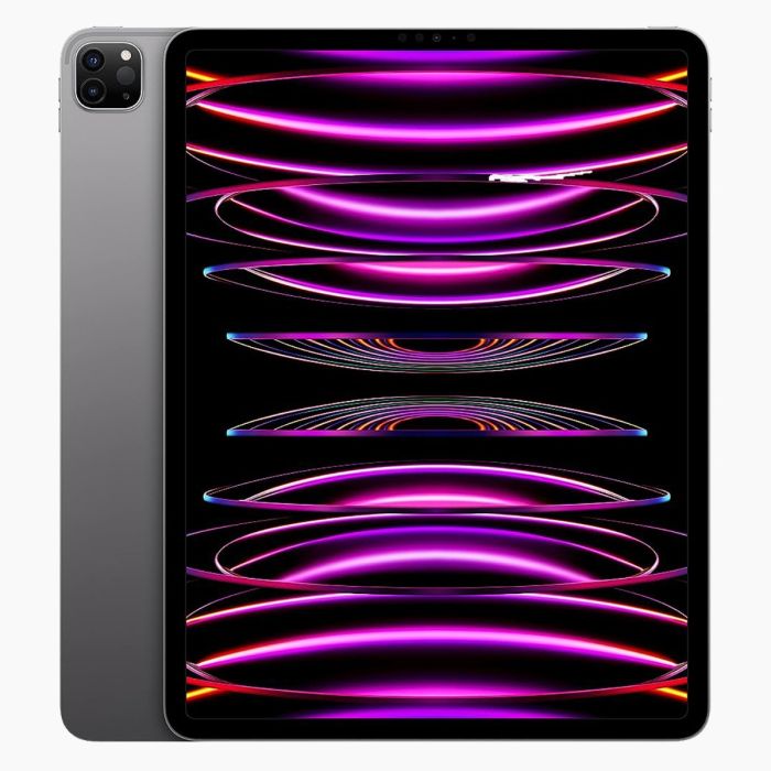 iPad Pro 11 pouces (2022) 256 Go Noir Wi‑Fi uniquement