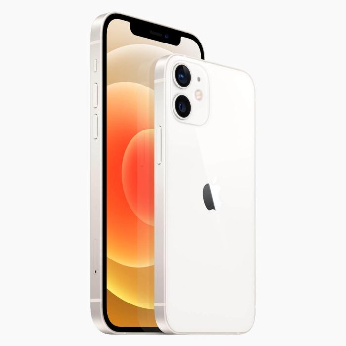 iPhone 12 Mini 64Go Blanc reconditionné