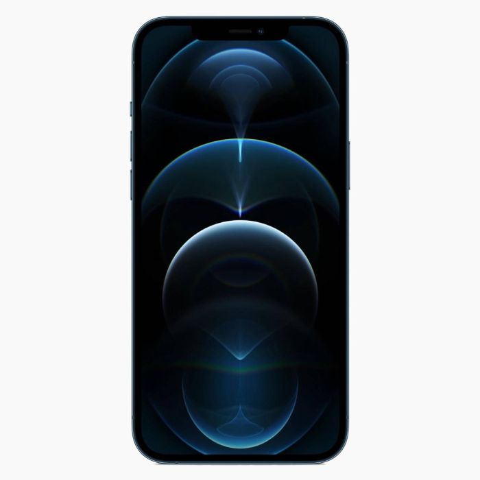 iPhone 12 Pro 256Go Bleu reconditionné                            