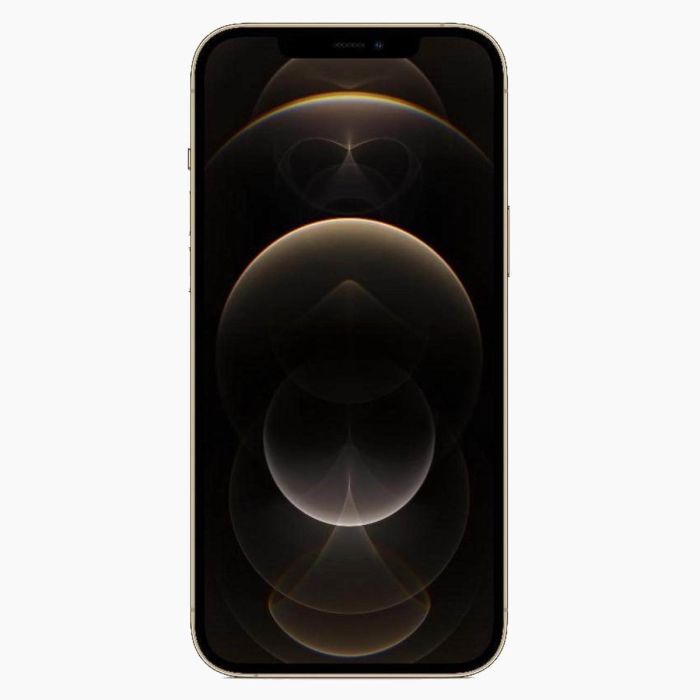 Refurbished iPhone 12 Pro Max 256GB Goud                            