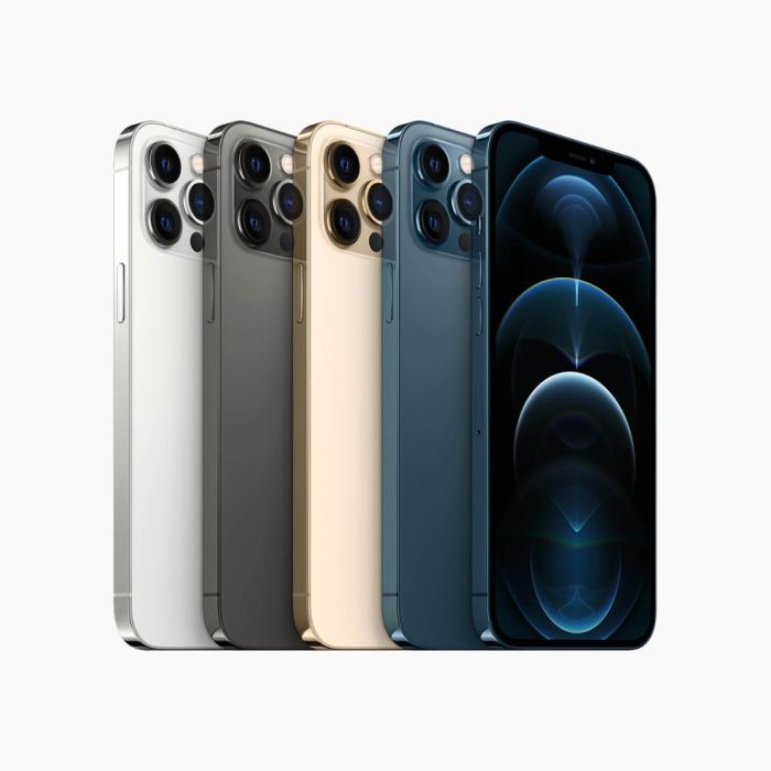 Refurbished iPhone 12 Pro Max 256GB Zwart                            