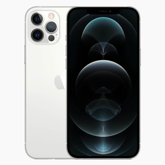 Refurbished iPhone 12 Pro Max 256GB Zilver                            