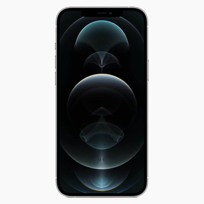 iPhone 12 Pro 128GB Argent reconditionné