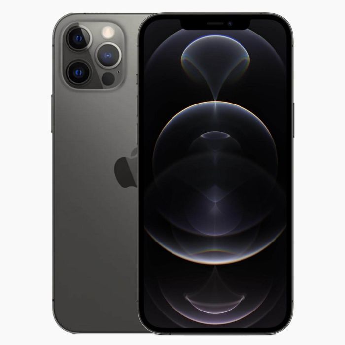Refurbished iPhone 12 Pro Max 256GB Zwart                            
