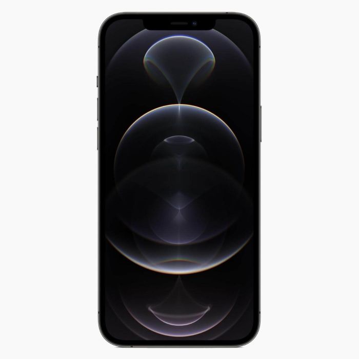 Refurbished iPhone 12 Pro Max 256GB Zwart                            