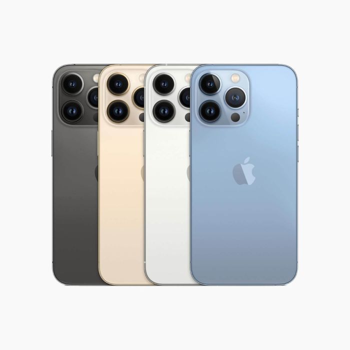 iPhone 13 Pro 256Go Or reconditionné