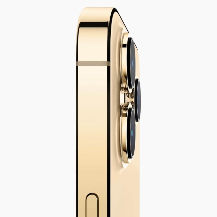 iPhone 13 Pro 256Go Or reconditionné
                            
