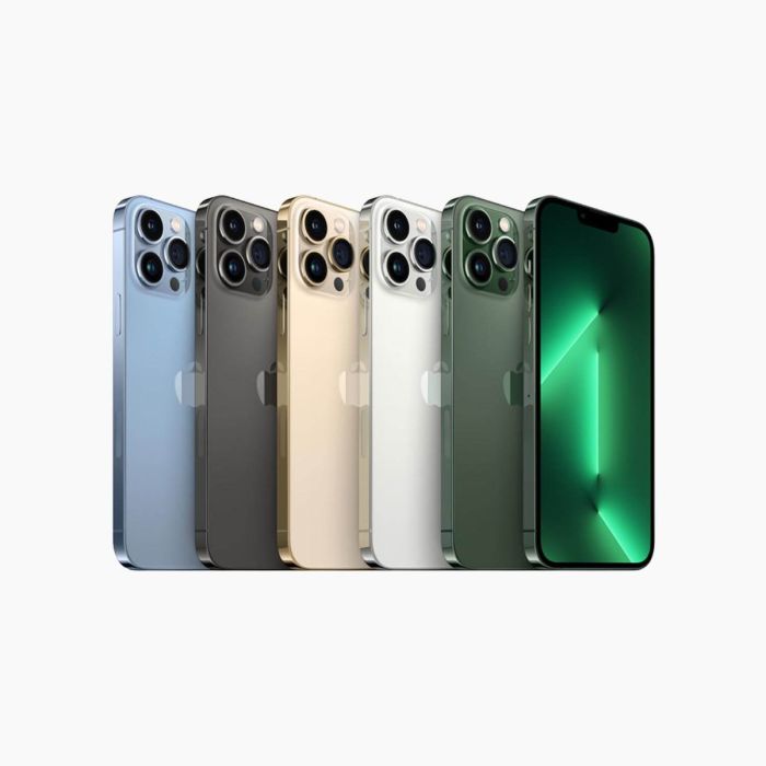 iPhone 13 Pro 256Go Or reconditionné
                            
