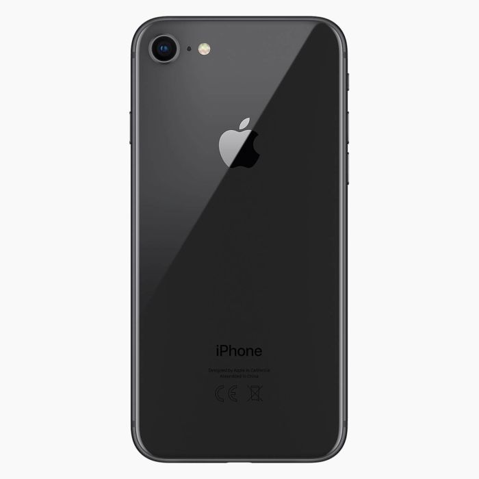 iPhone 8 Gris Sidéral 256Go reconditionné
