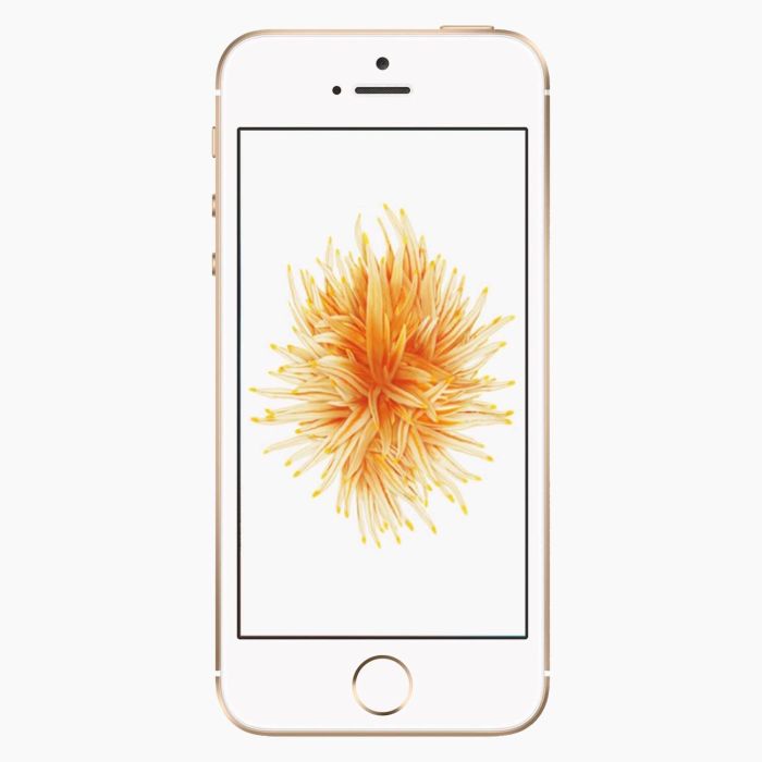 iPhone SE 2016 Or 64Go reconditionné