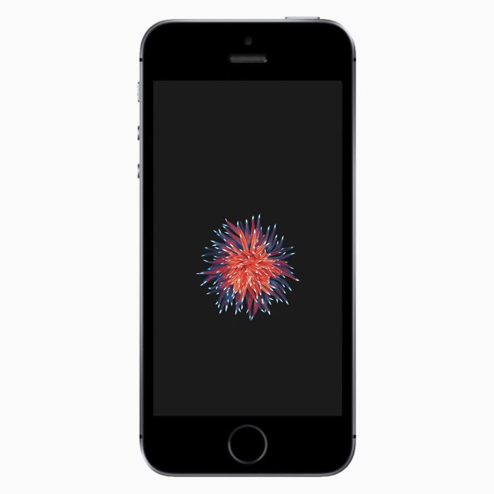 iPhone SE 2016 Gris Sidéral reconditionné front