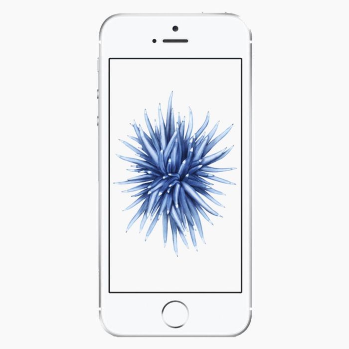 iPhone SE 2016 128Go Argent reconditionné