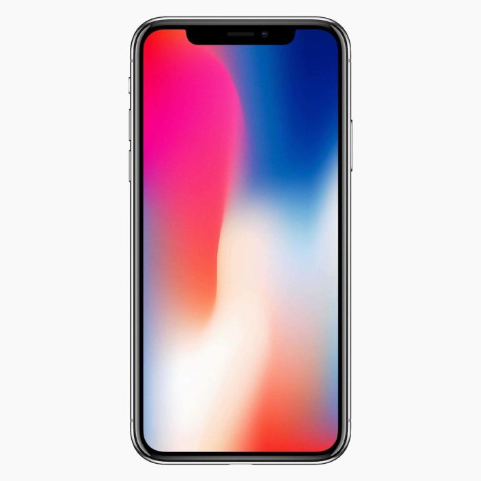 iPhone X Gris Sidéral 256Go reconditionné